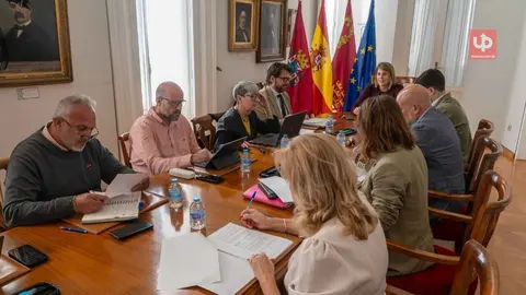 Cartagena aprueba 1,12 M&euro; para cultura, deporte, UPCT y digitalizaci&oacute;n municipal