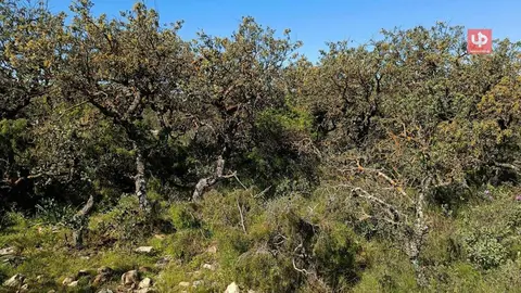 Paisaje Protegido Sierra Salinas, en el t&eacute;rmino municipal de Yecla.