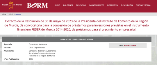 Extracto de la resolución de convocatoria de préstamos para inversiones para el crecimiento empresarial