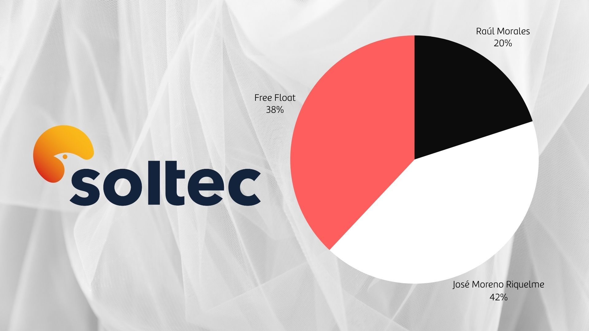 Distribución del capital de Soltec